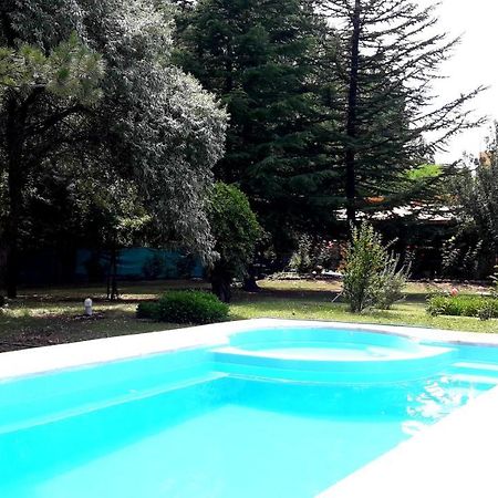 Casa Rural Entre Bodegas Y Vinedos ' El Jarillal" La Consulta Екстер'єр фото