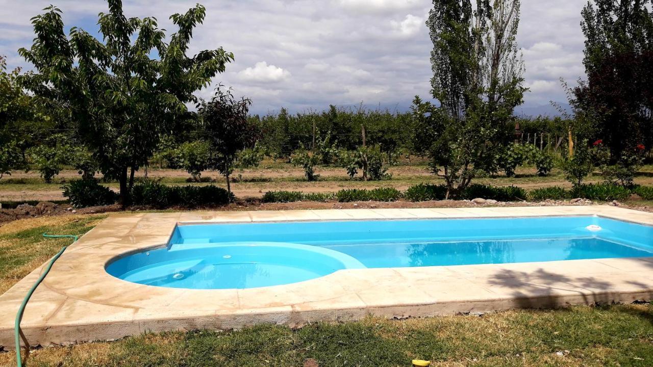 Casa Rural Entre Bodegas Y Vinedos ' El Jarillal" La Consulta Екстер'єр фото