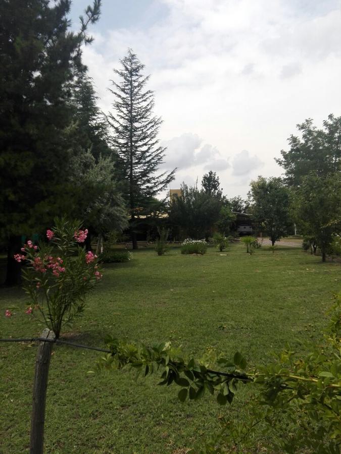 Casa Rural Entre Bodegas Y Vinedos ' El Jarillal" La Consulta Екстер'єр фото